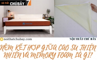 NỆM KẾT HỢP GIỮA CAO SU THIÊN NHIÊN VÀ MEMORY FOAM LÀ GÌ?